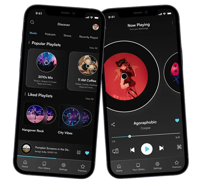 Music Streaming Developers